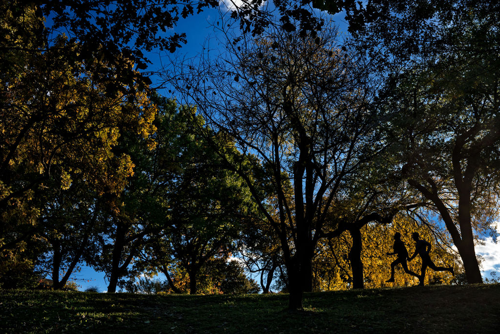 Texas LGBTQ Engagement Session