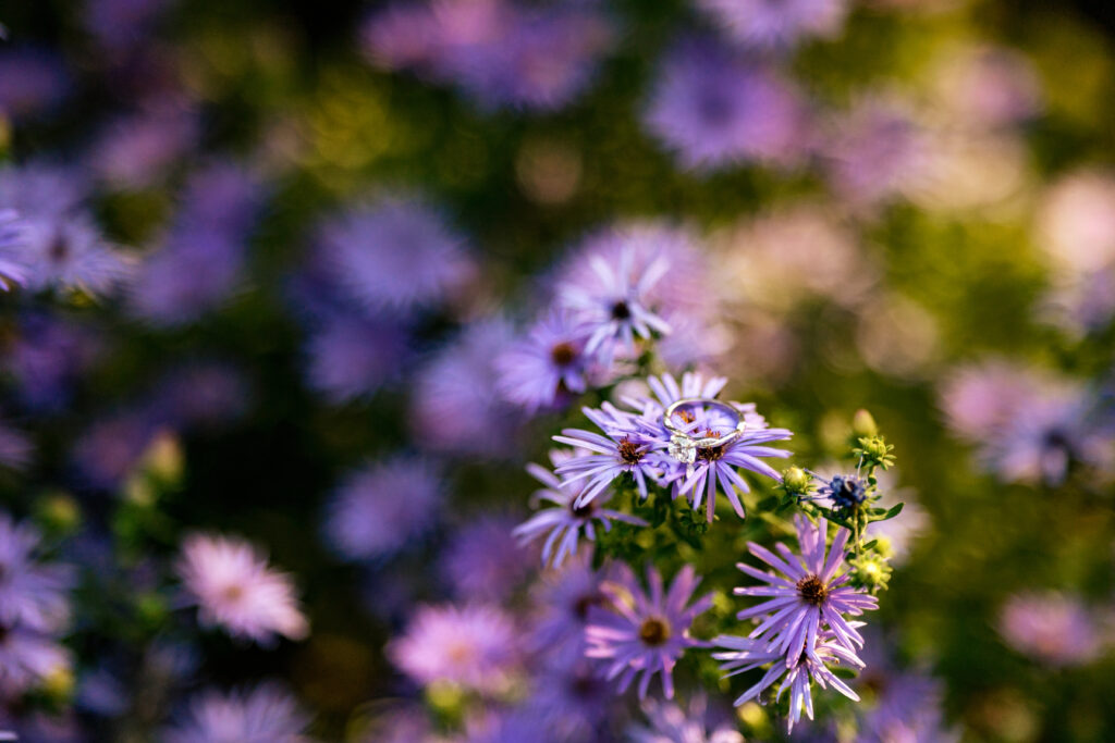 Playful Dallas Garden Engagement Session
