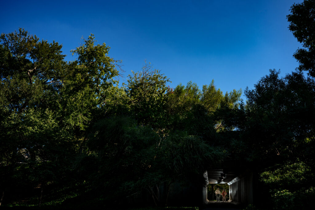 Playful Dallas Garden Engagement Session