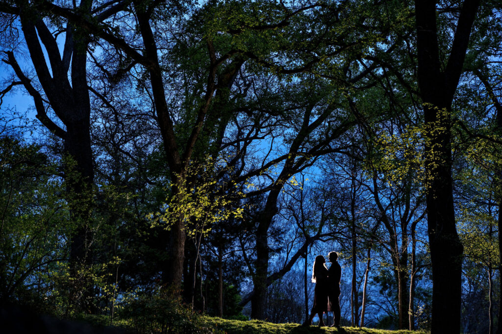 Grapevine Garden Engagement Session
