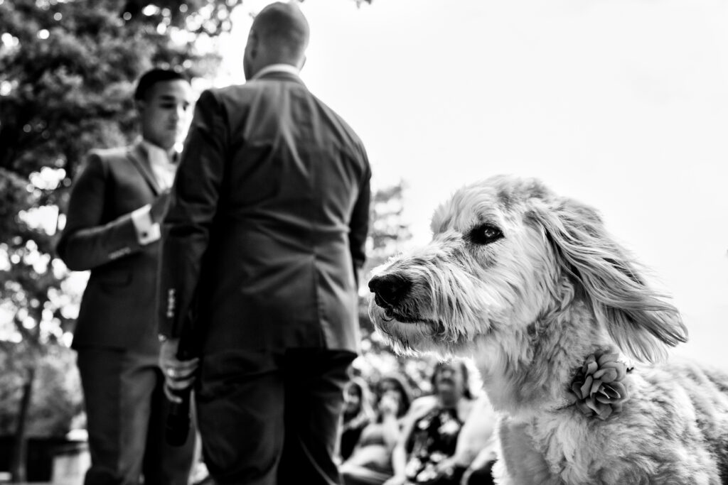 Dallas Luxury LGBTQ Wedding