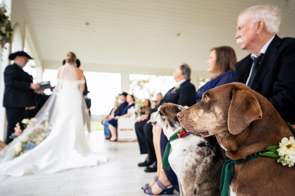 Texas Documentary Wedding Photographers The MacMeekens at Chandelier Farms Wedding Venue in Dallas