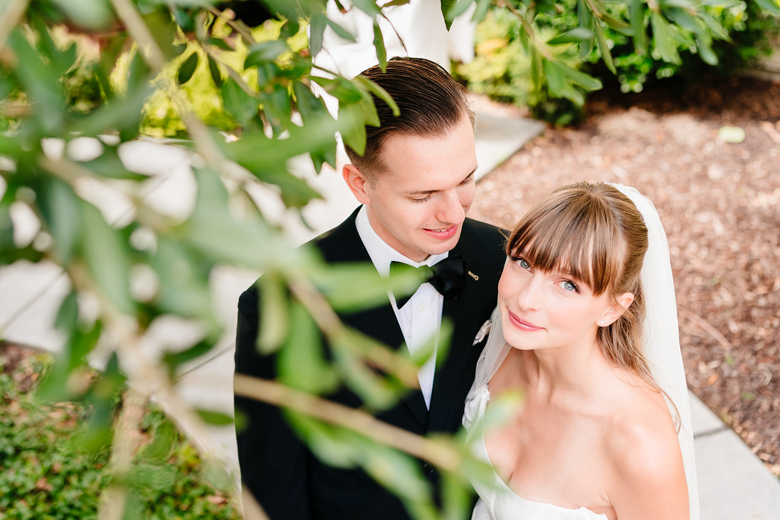 Bride and groom portrait through green leaves, soft natural light