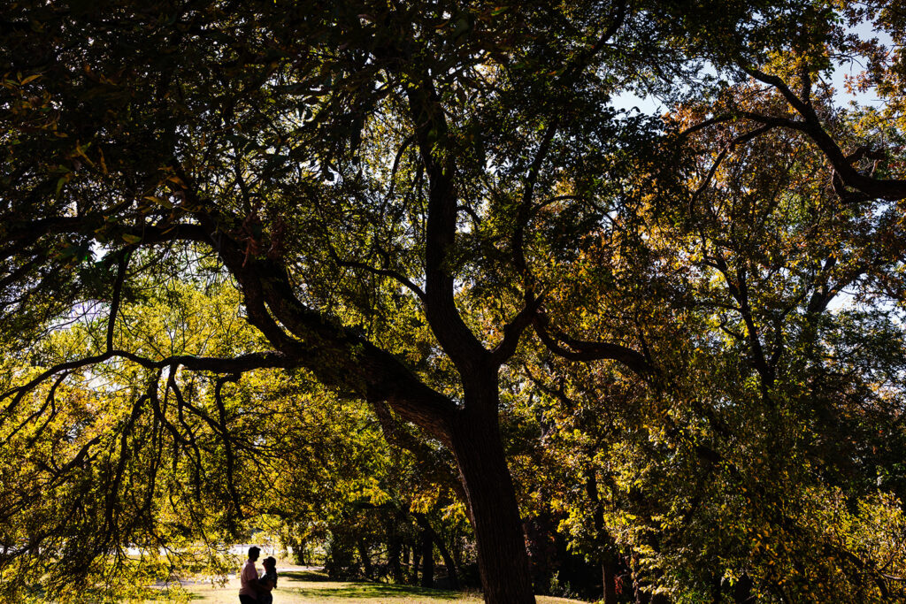 Wide shot of couple walking through Reverchon Park surrounded by fall foliage.