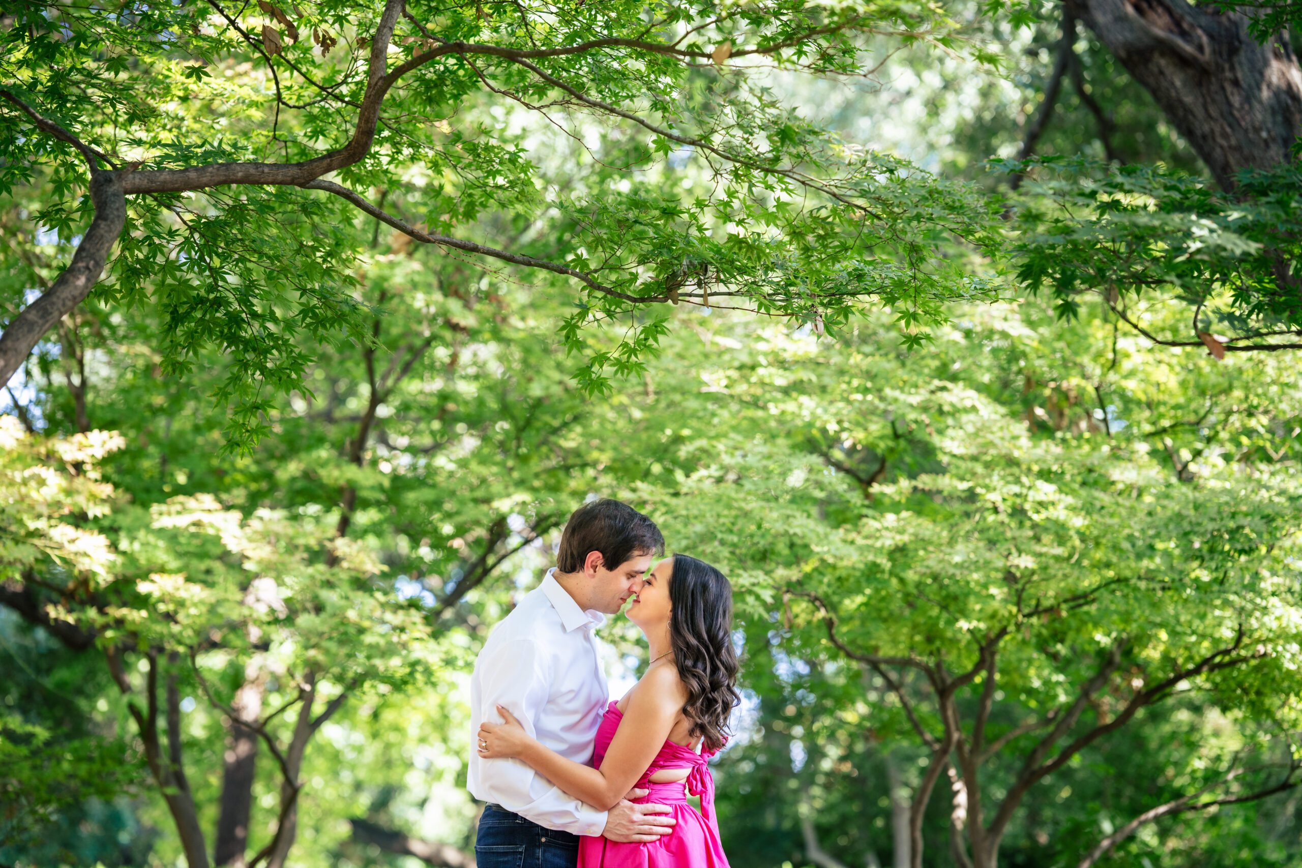 Dallas Forth Worth Wedding Photographer Dallas Hotel Crescent Court The Adolphus The Marie Gabrielle Nasher Sculpture Center Texas Discovery Gardens Wedding Venue